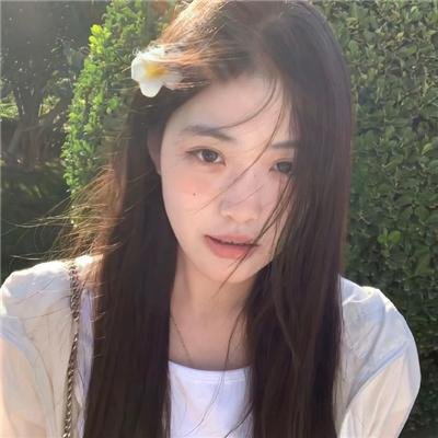 风愿